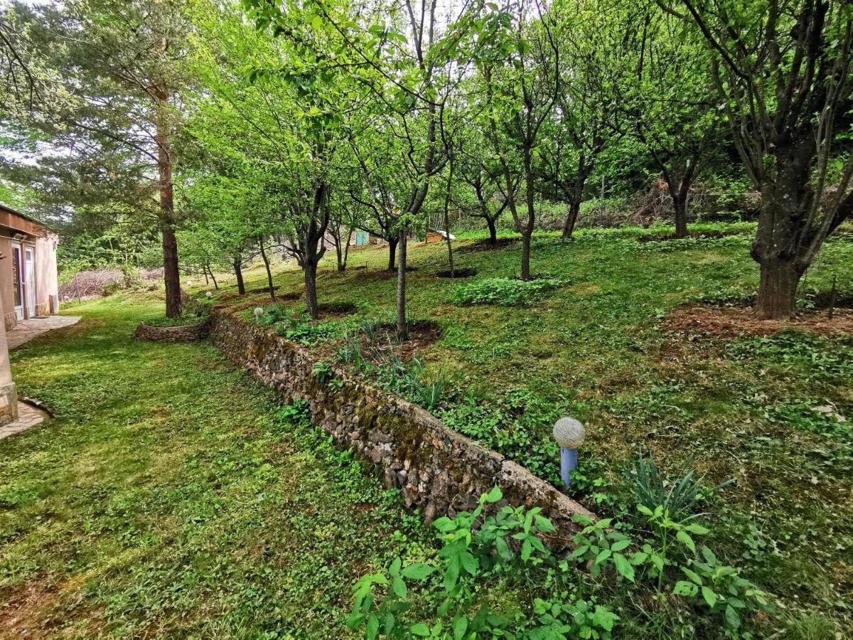 Villa Aqua Pravets Dış mekan fotoğraf